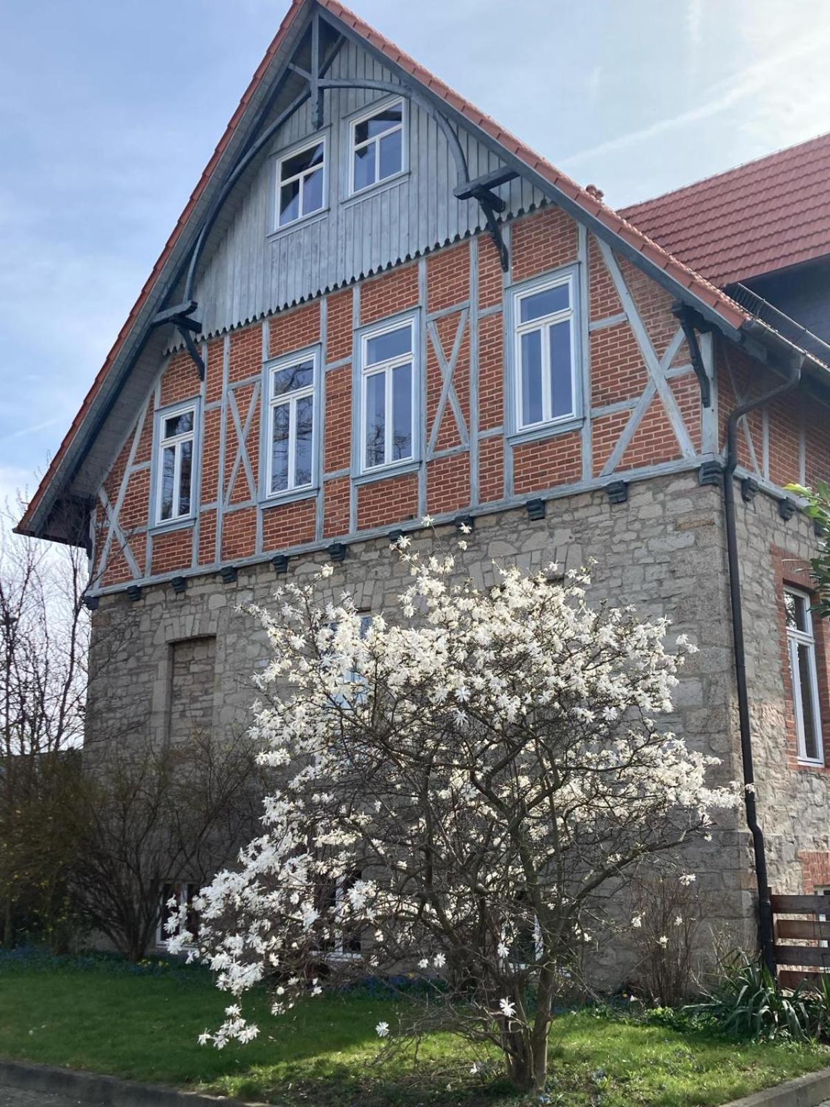 Gaestehaus Musestieg Thale Exterior foto